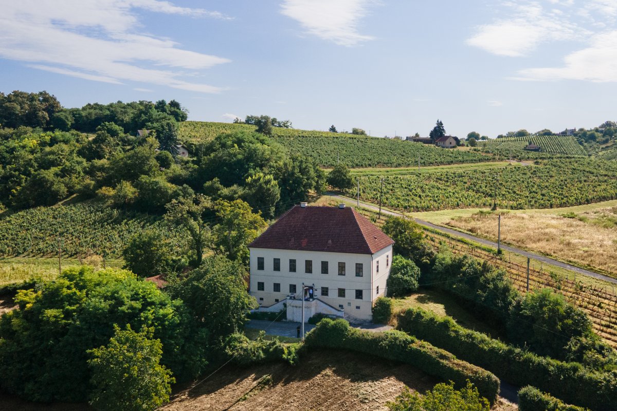 Litterarii Winery 