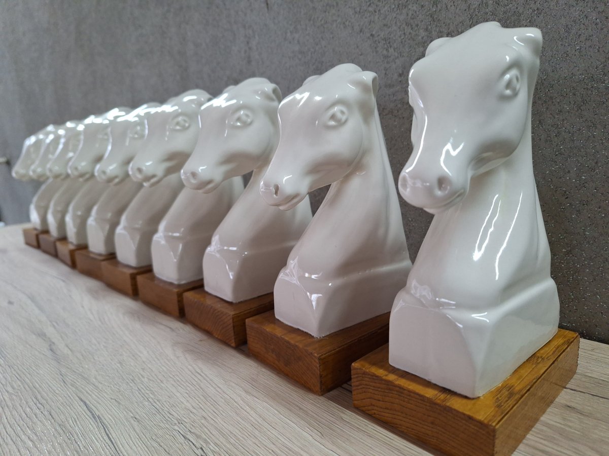 Ako dotakne&scaron; lipicanca &ndash; dotakne&scaron; povijest