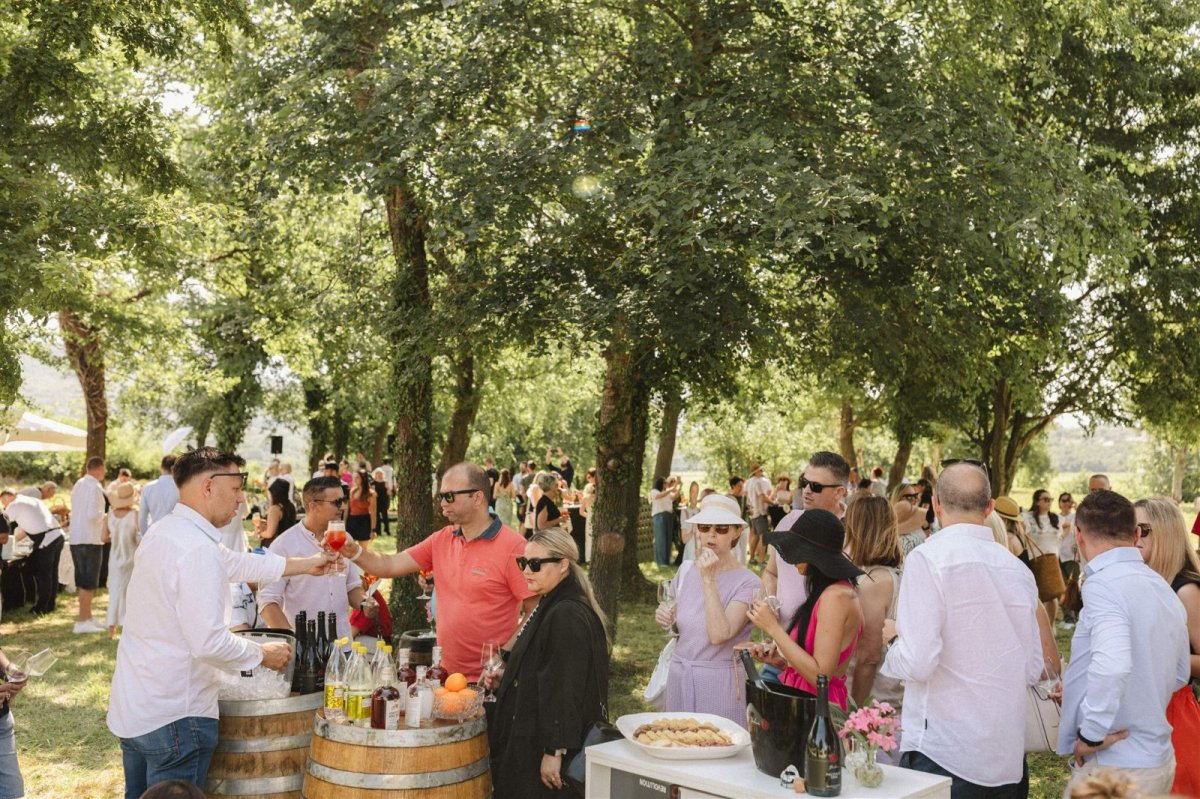 Pjenu&scaron;avi doručak u vinogradu (u suradnji s Vinskom kućom Pavlomir)