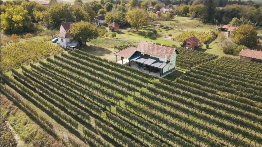 Vinarija Topolovčan