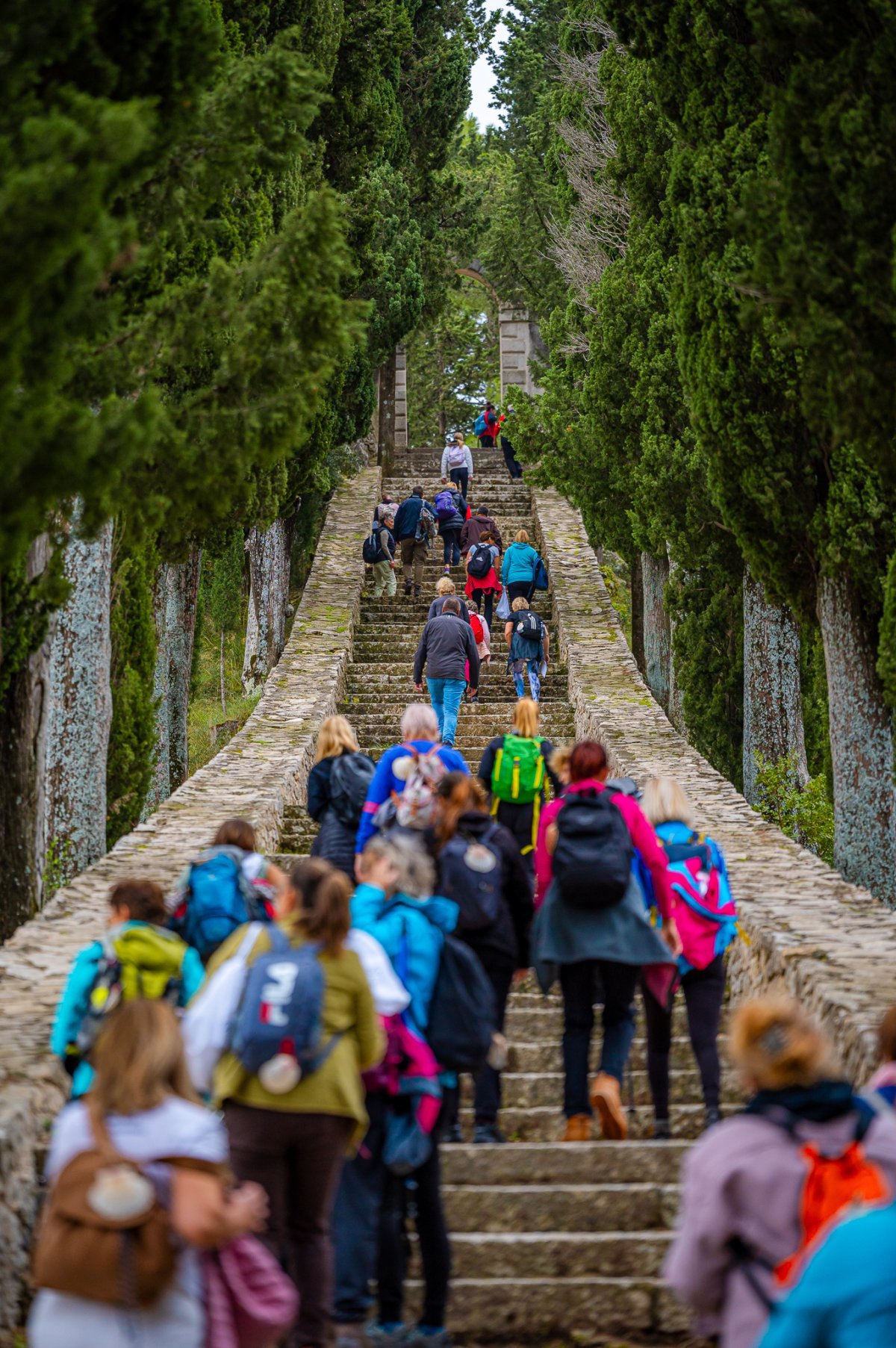 Korčula Camino vikend