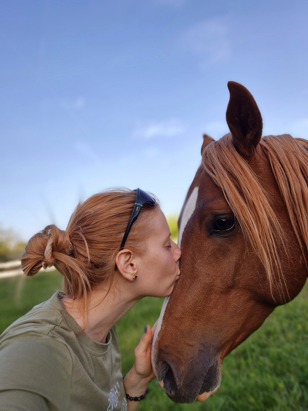 Alpaka Ranch Kavadah - Oaza istarskog mira