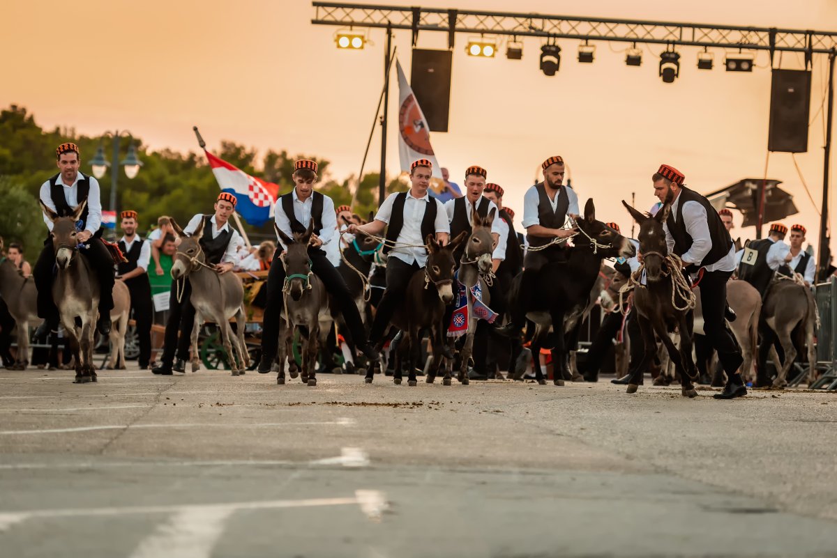 TRADICIONALNE TRIBUNJSKE MAGAREĆE UTRKE