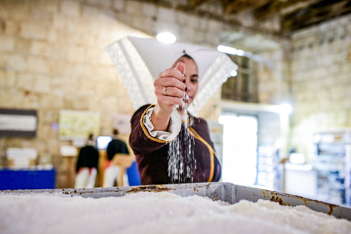 MISEC PA&Scaron;KE SOLI