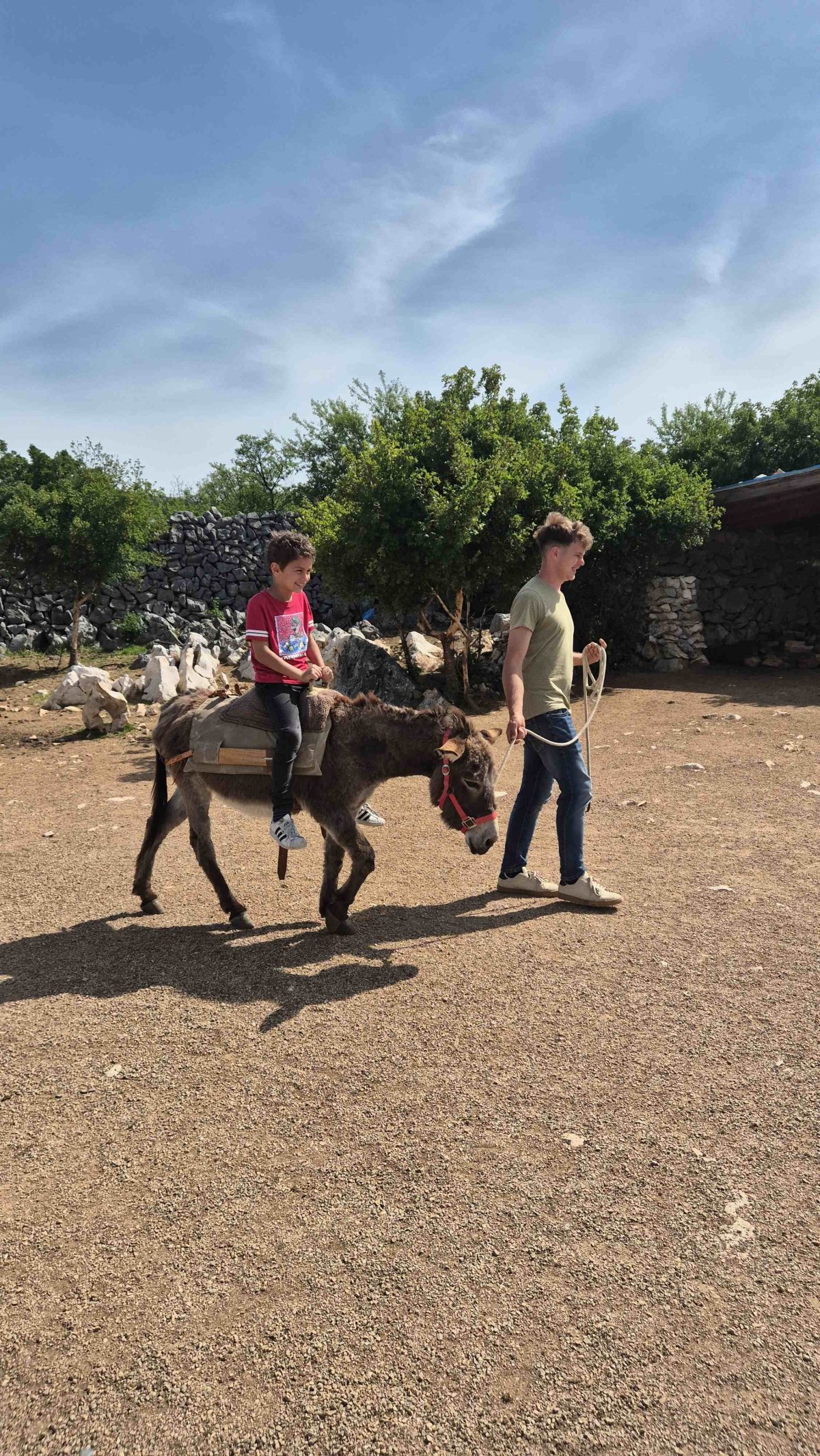 OPG „SUZI” Susanne Lucić