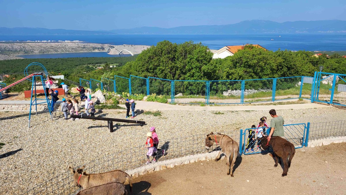 OPG „SUZI” Susanne Lucić