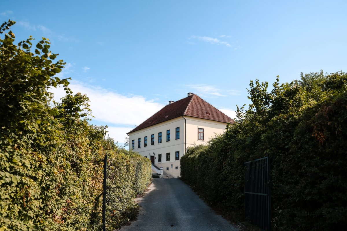 Litterarii Winery 