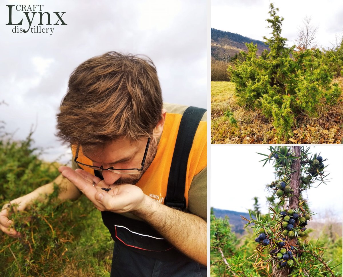 Lynx Craft Distillery, obrt za jaka alkoholna pića