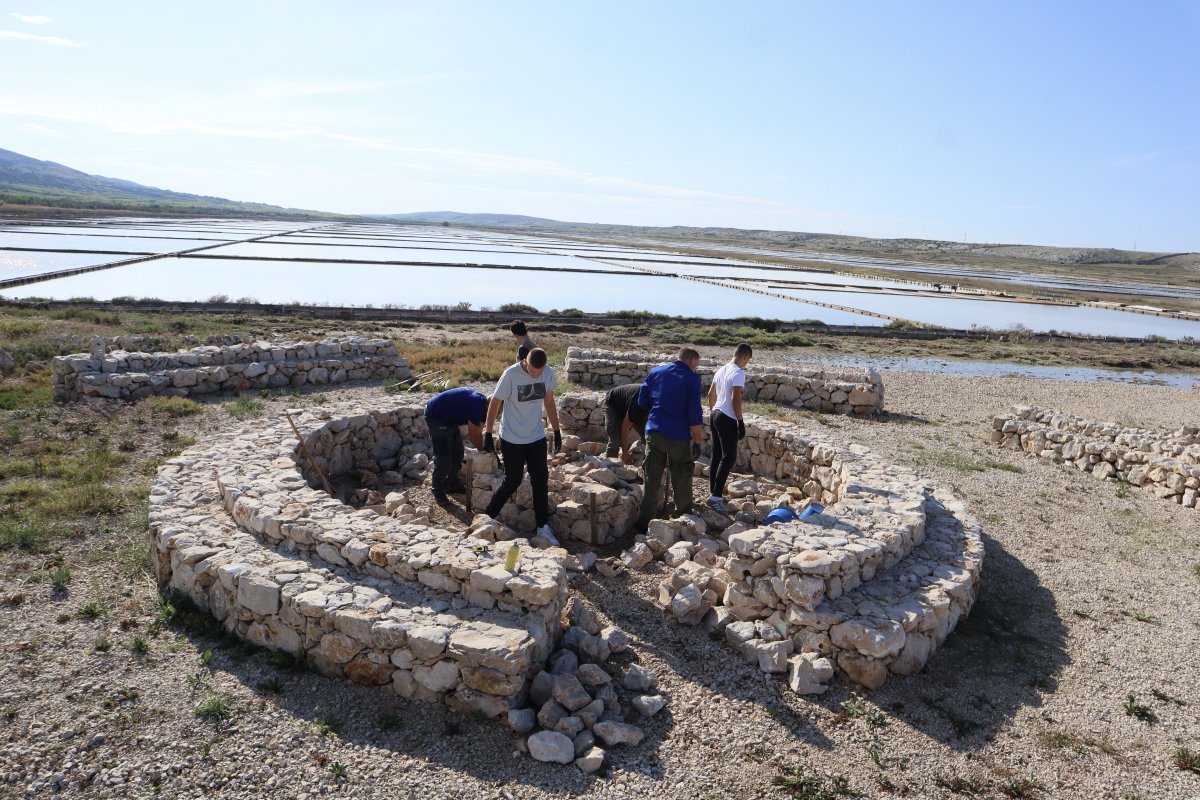 JUTRA U POLJIMA SOLI