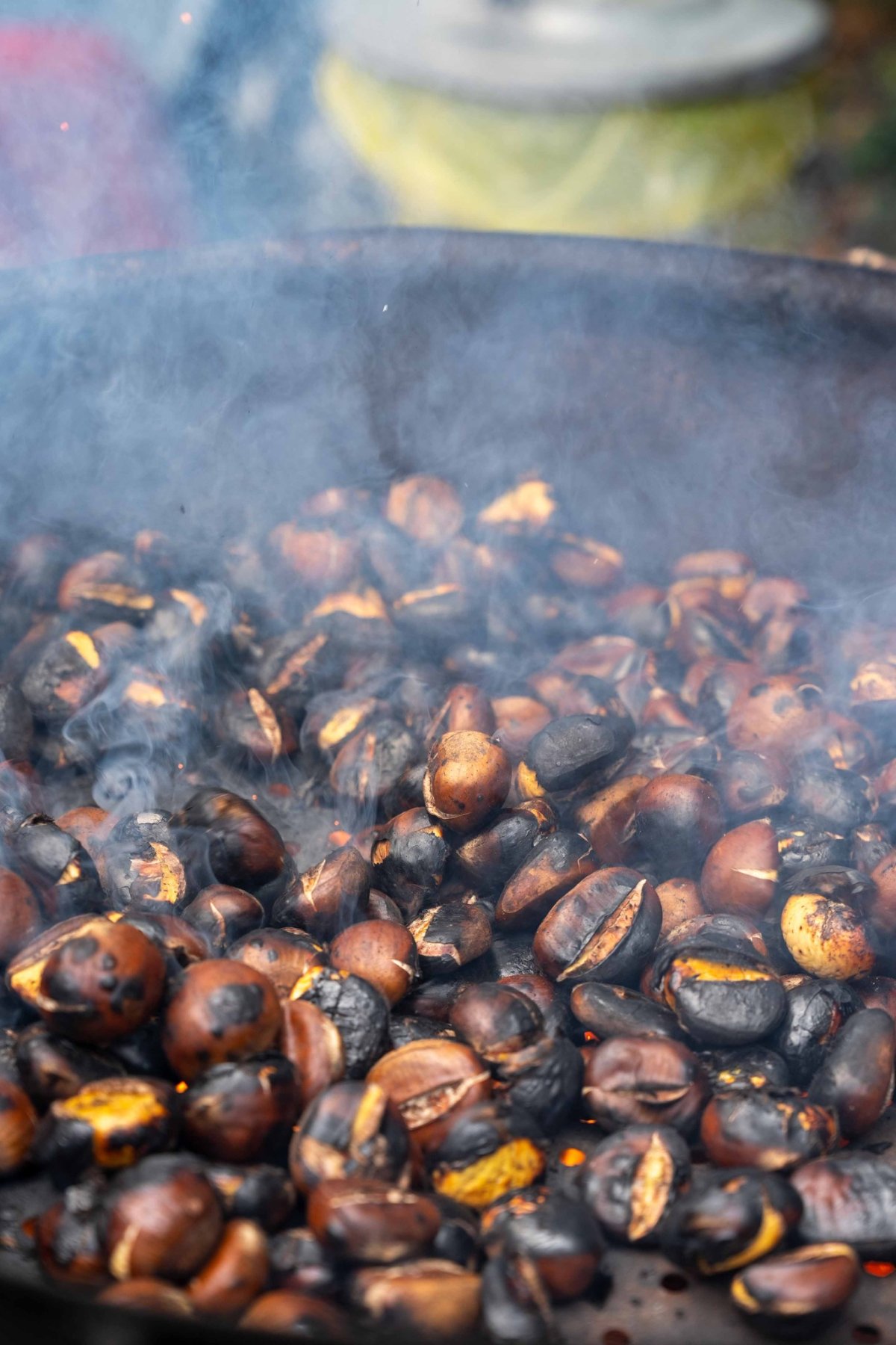 Festival kestena u Petrinji