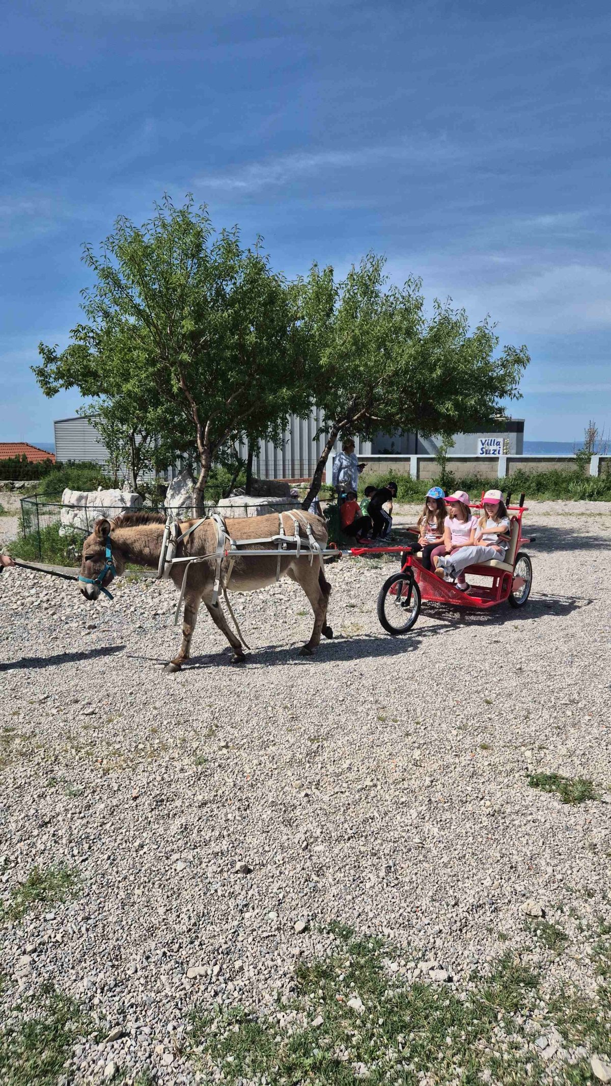 OPG „SUZI” Susanne Lucić