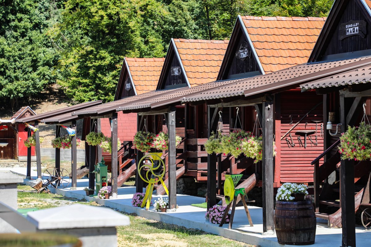 OPG ČONDIĆ ROBERT &ndash; RANČ ĆONDIĆ 