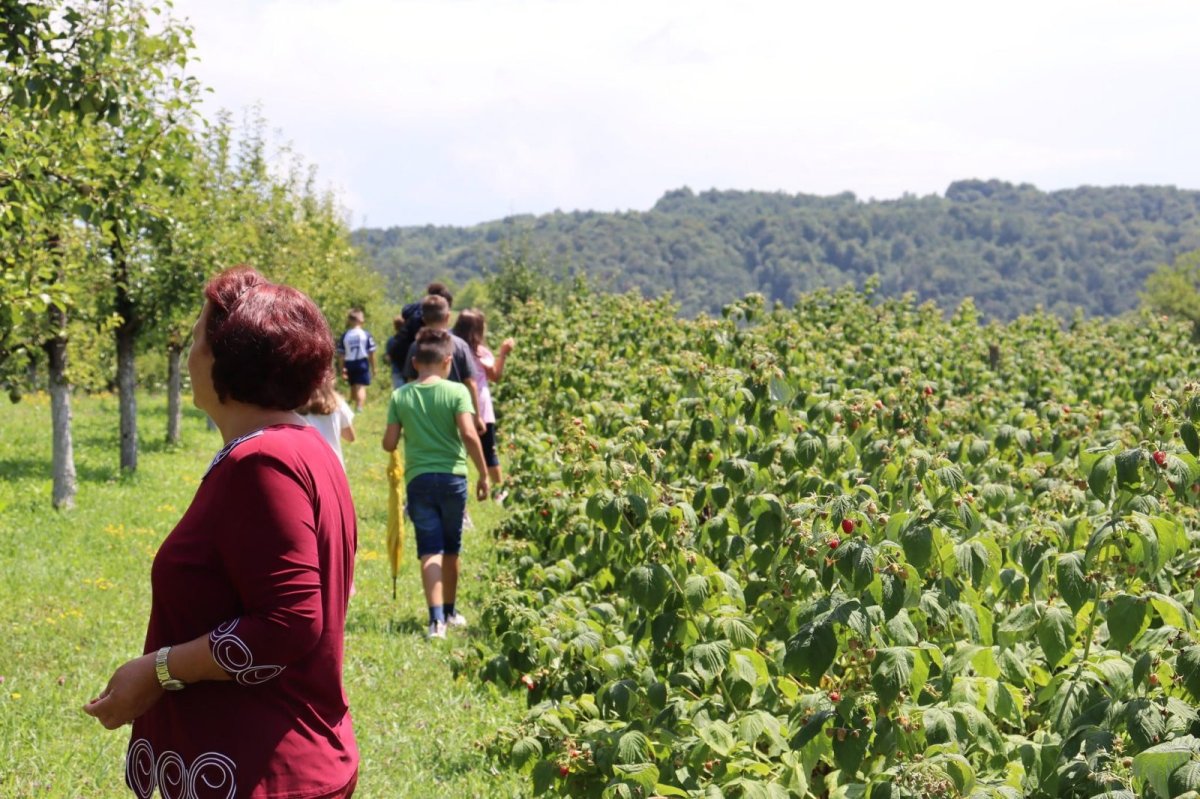 Kamp tradicije, običaja i jezika