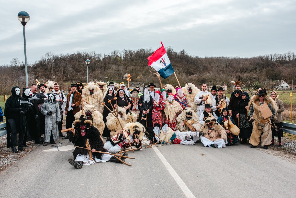 Baranjske bu&scaron;e