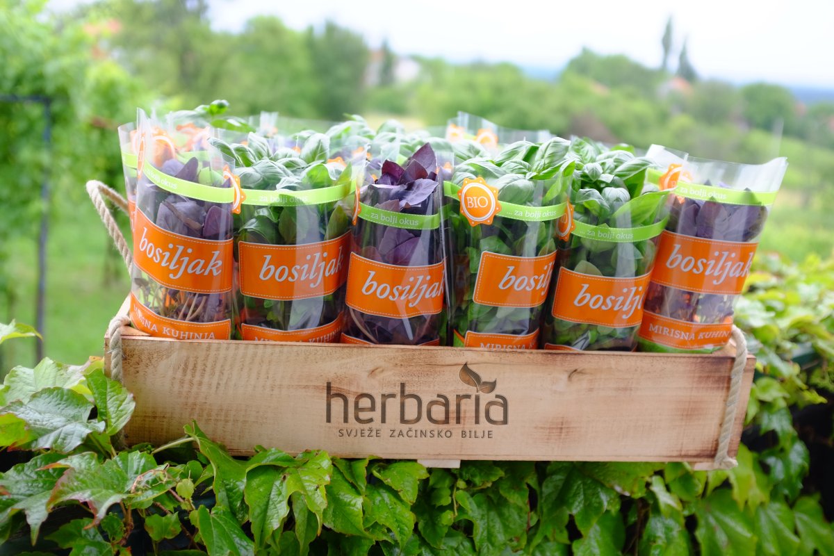 Ivana Ključarić - Herbaria