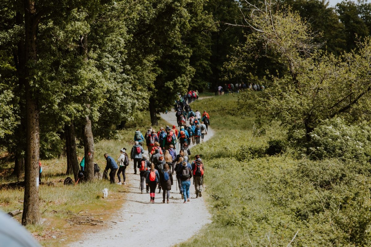 Manifestacija Dan planeta Zemlje u Moslavini