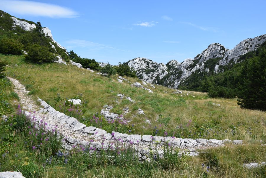 PREMUŽIĆEVA STAZA