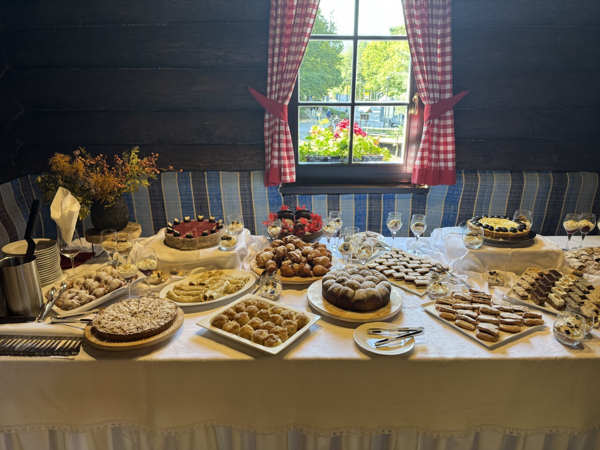 FESTIVAL &Scaron;LJIVA