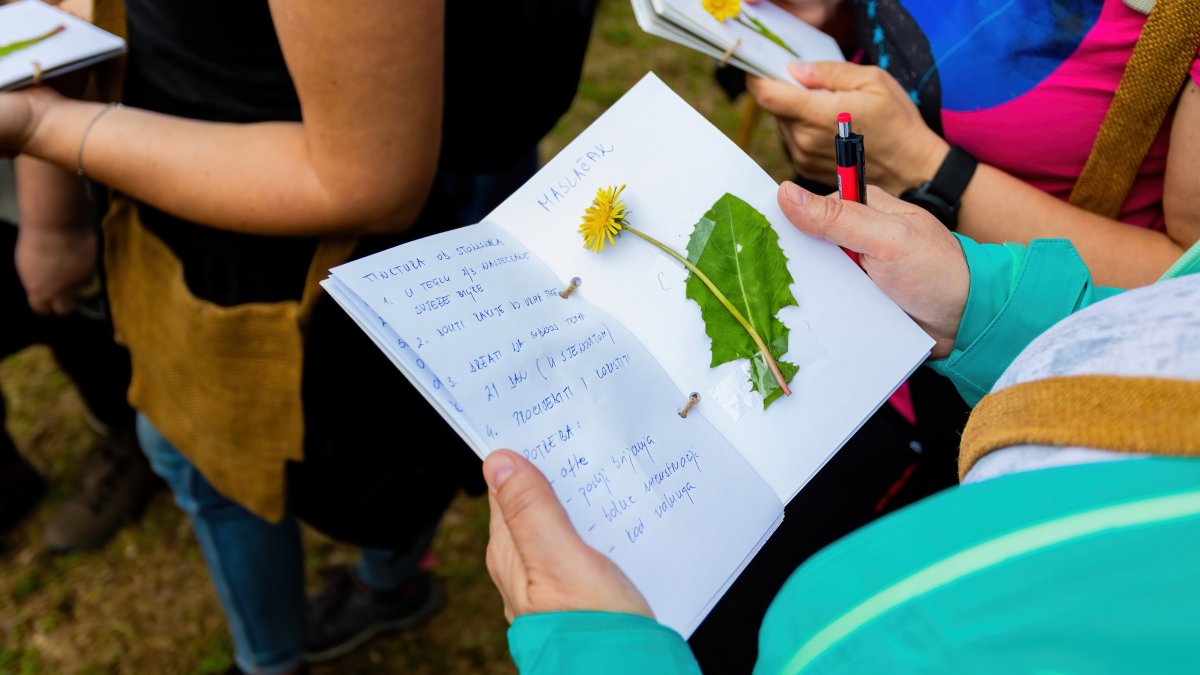 Festival samoniklog bilja
