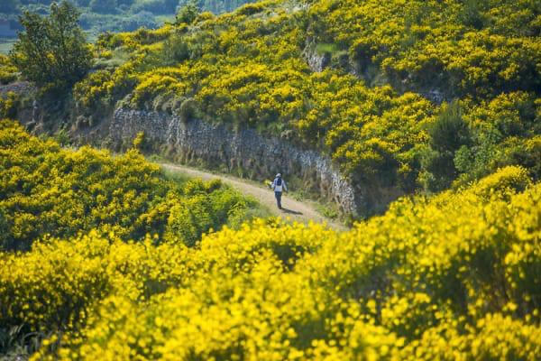 Tematske staze Perunovim putovima - održivi razvoj i valorizacija kulturno-prirodne ba&scaron;time Podstrane"