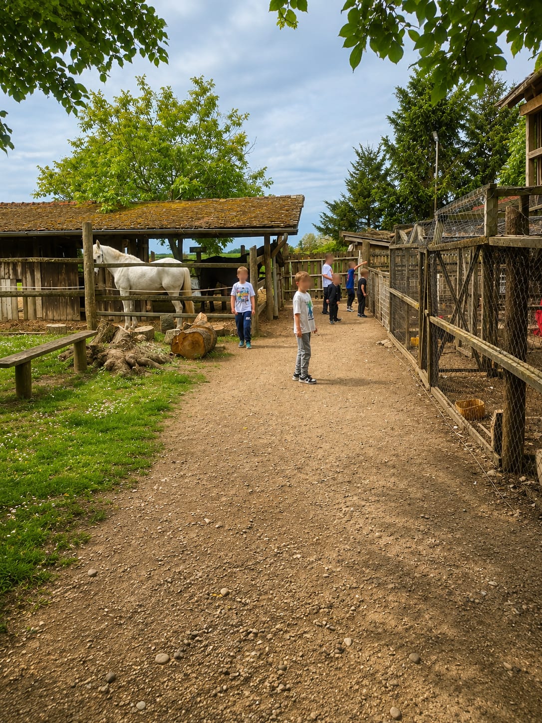 Moderna ruralna domaćinstva