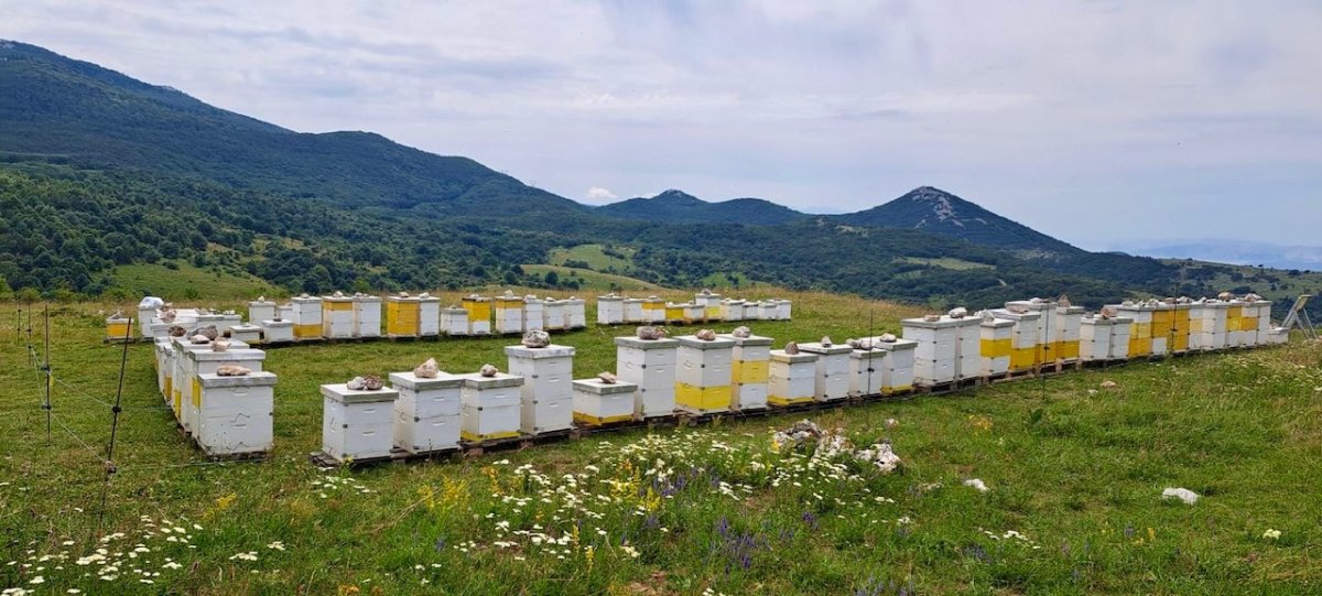 Apiturizam - Poljoprivredna zadruga API Kvarner - Ku&scaron;aonica TILIA