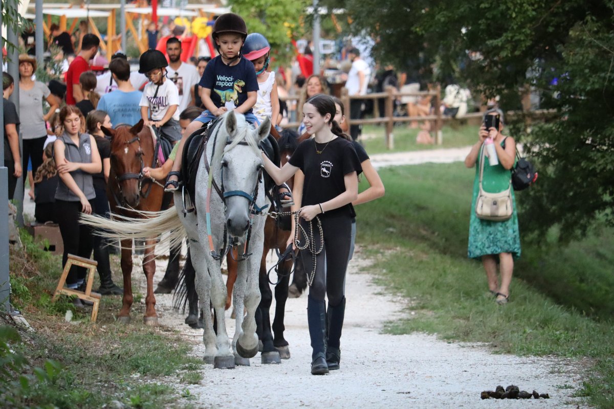Krka Fest
