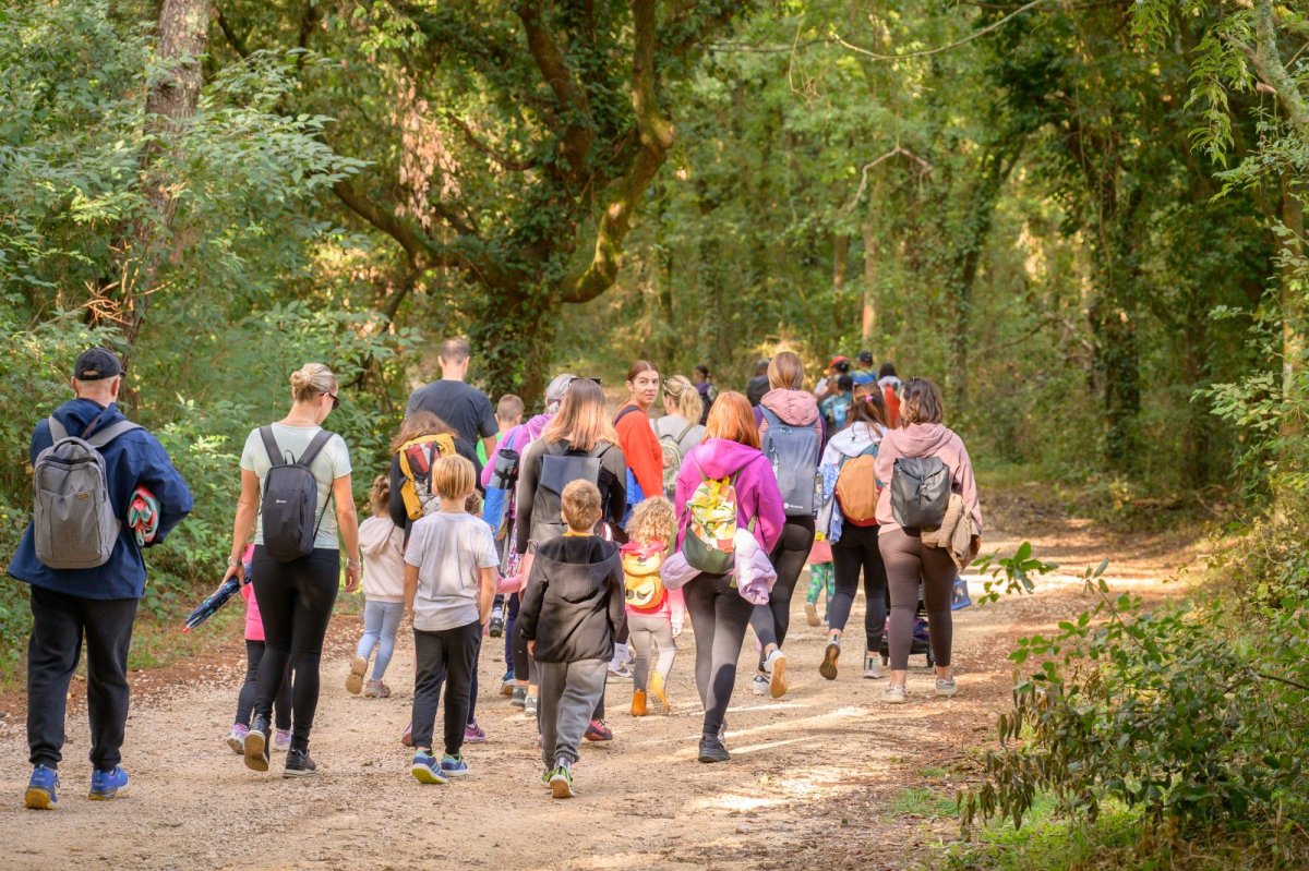 Jesen u Kontiji &ndash; &scaron;uma kao prostor doživljaja i učenja