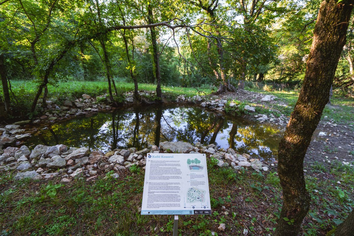 ČAVJANSKI KALIĆI