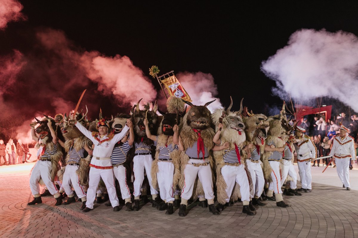 Javna ustanova u kulturi Kuća Halubajskega zvončara
