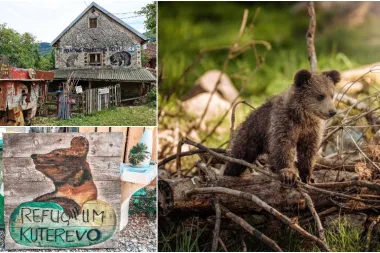 Velebitsko utoči&scaron;te za mlade medvjede