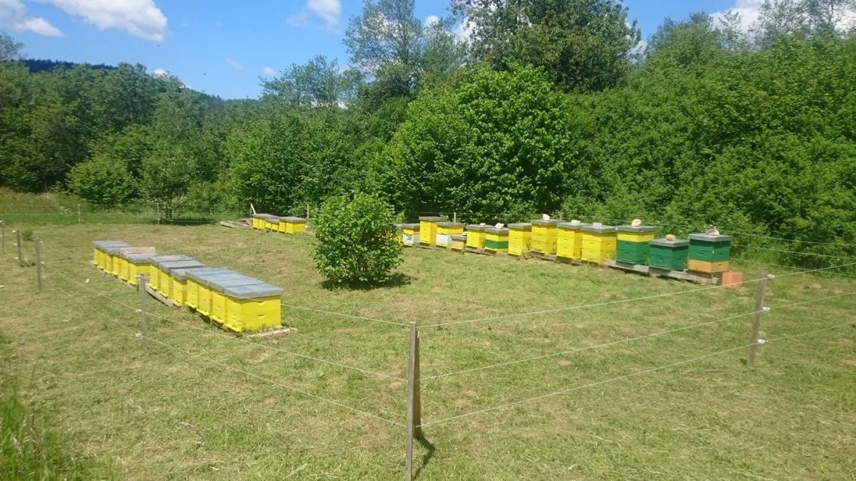 OPG Milo&scaron;ević