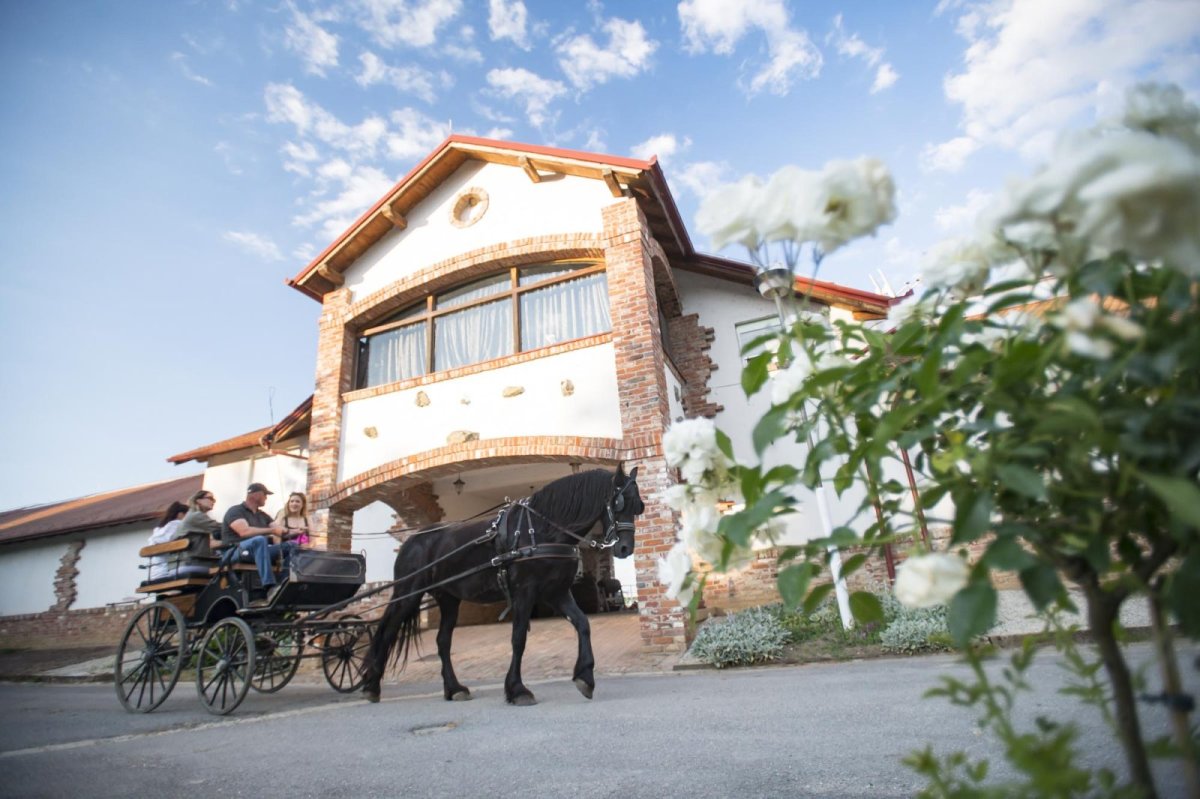 Pustara Vi&scaron;njica &ndash; Mir, priroda i plemenita tradicija Slavonije