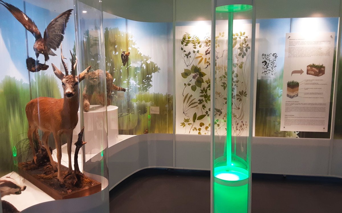 PRIRODOSLOVNI MUZEJ RIJEKA &ndash; KA&Scaron;TEL ZRINSKIH