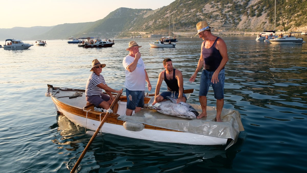 Manifestacija “TIRA, TIRA”  