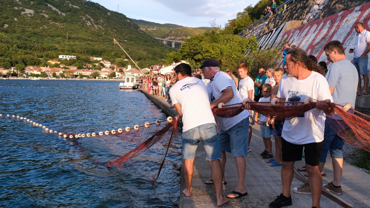 Manifestacija “TIRA, TIRA”  