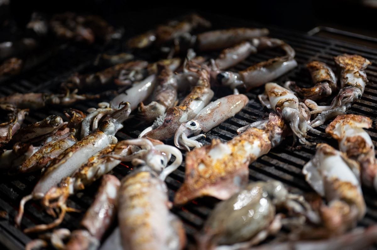 CRNILO KUP &ndash; Lov na lignje, lov na dobru spizu