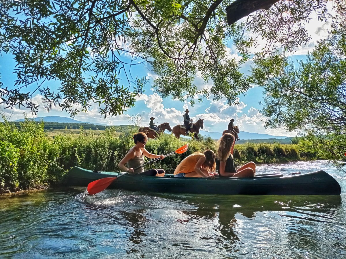 Sturba Canoe and birdwatching