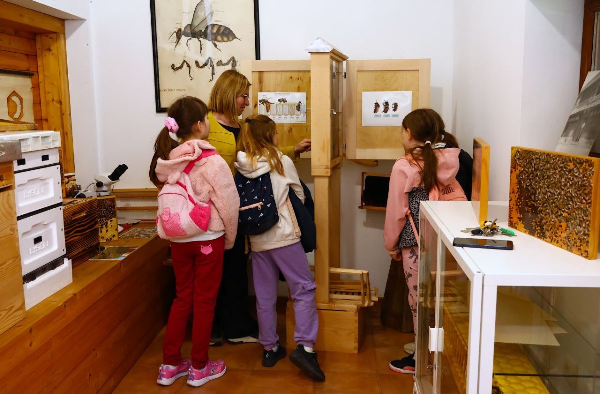 Pčelarska ba&scaron;tina koja živi: Edukativno-arhivska postaja za pčelarstvo Veterinarskog fakulteta Sveučili&scaron;ta u Zagrebu