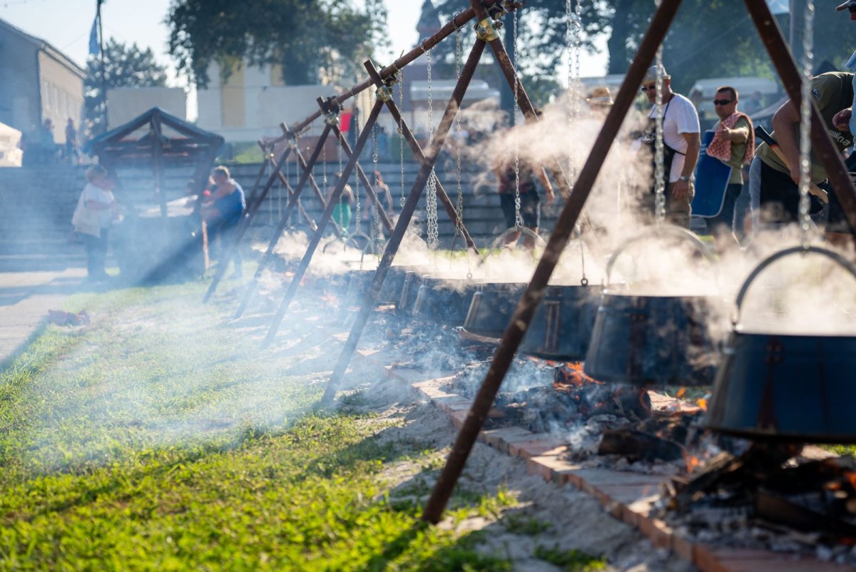 Dunavfest Vukovar