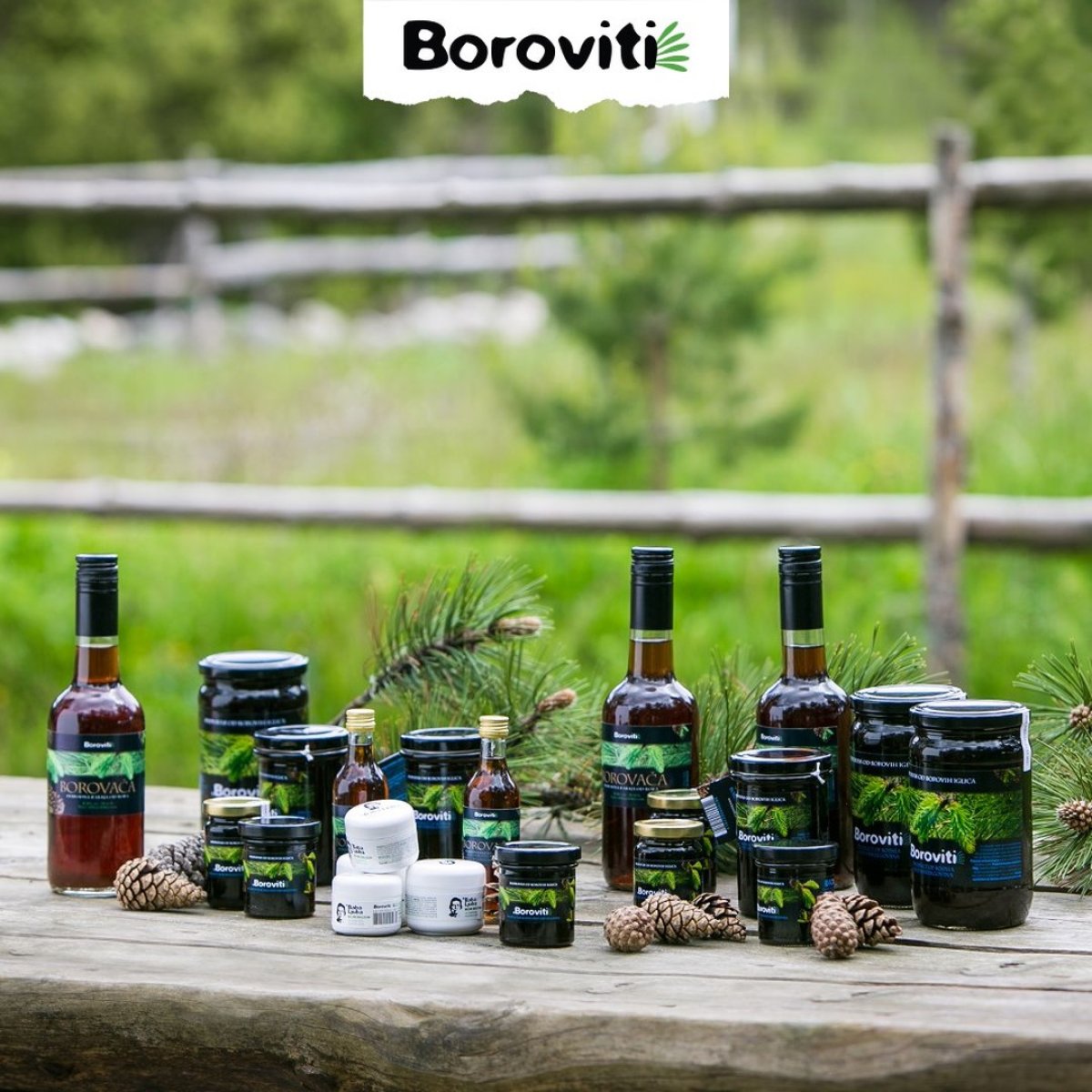 Boroviti d.o.o.