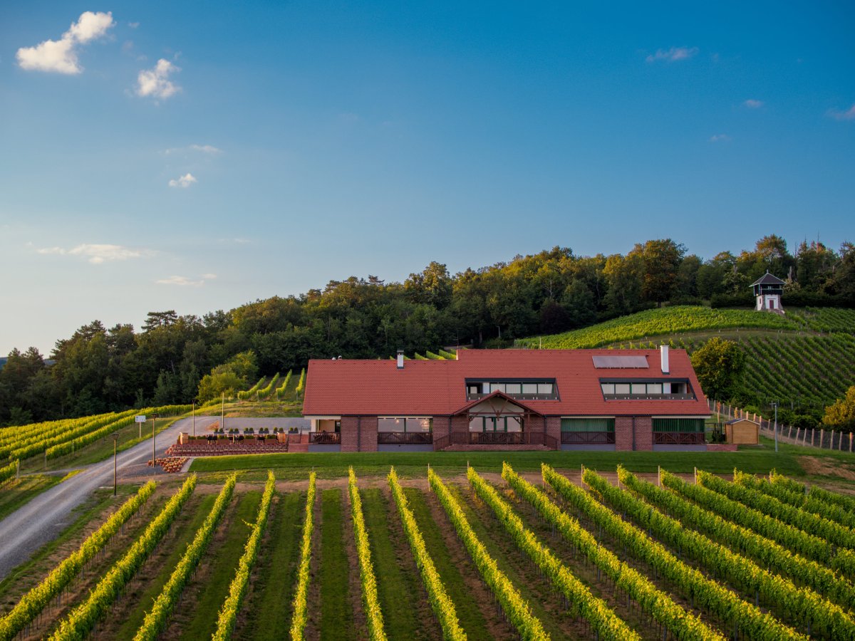 Restoran Slavonska kuća Vinkomir