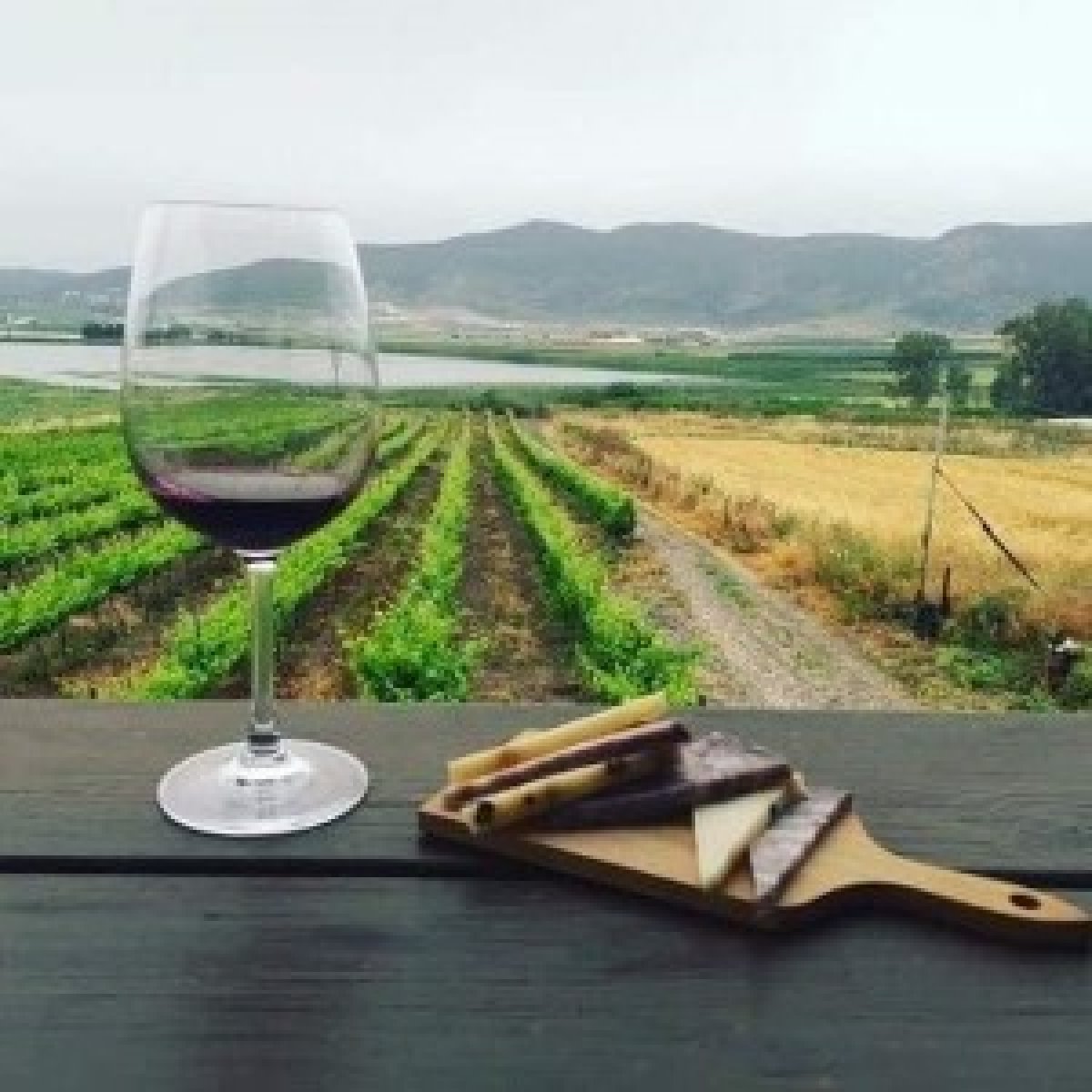 Through artists and wineries - The secret route wine of Jezreel Valley