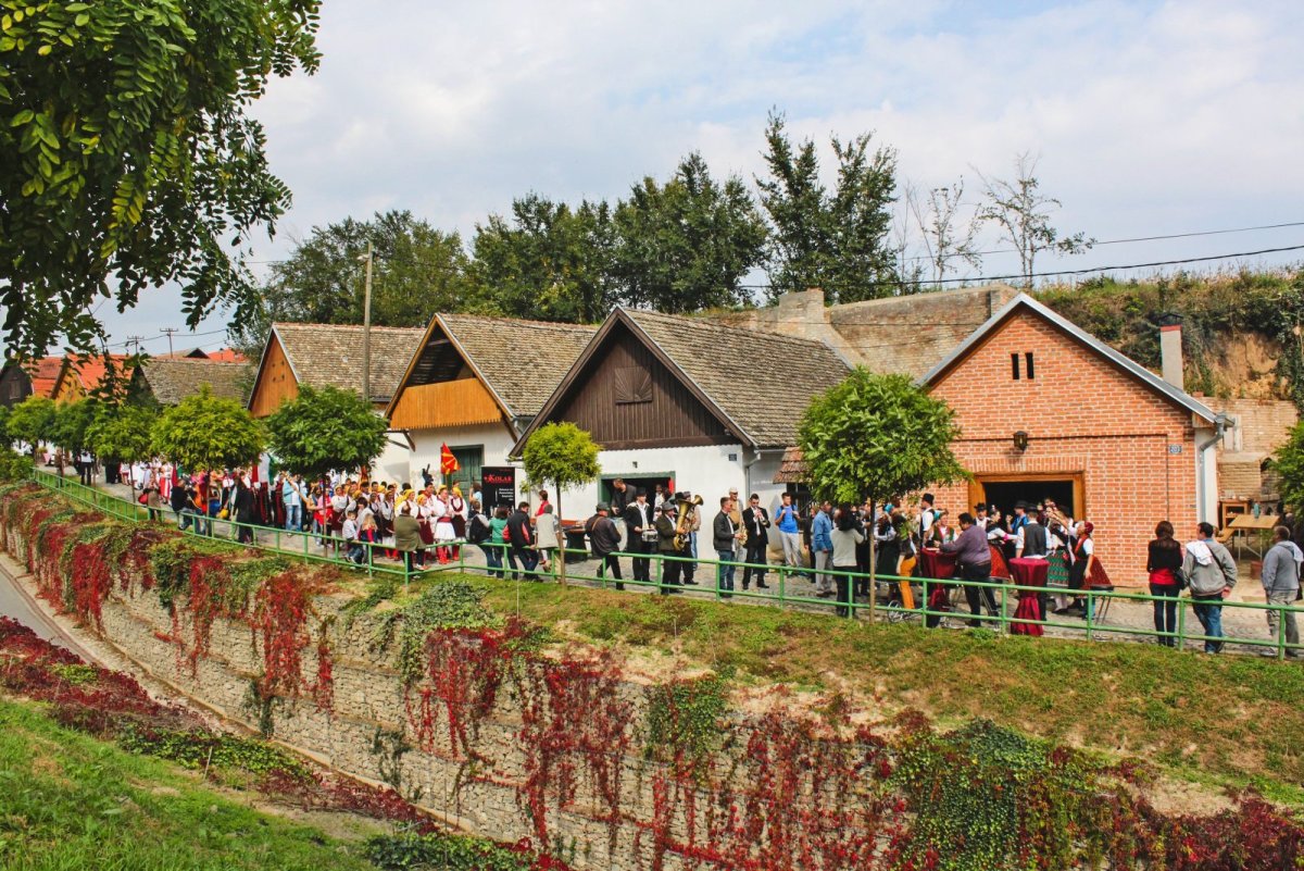 Zmajevac - vinska prijestolnica Hrvatske
