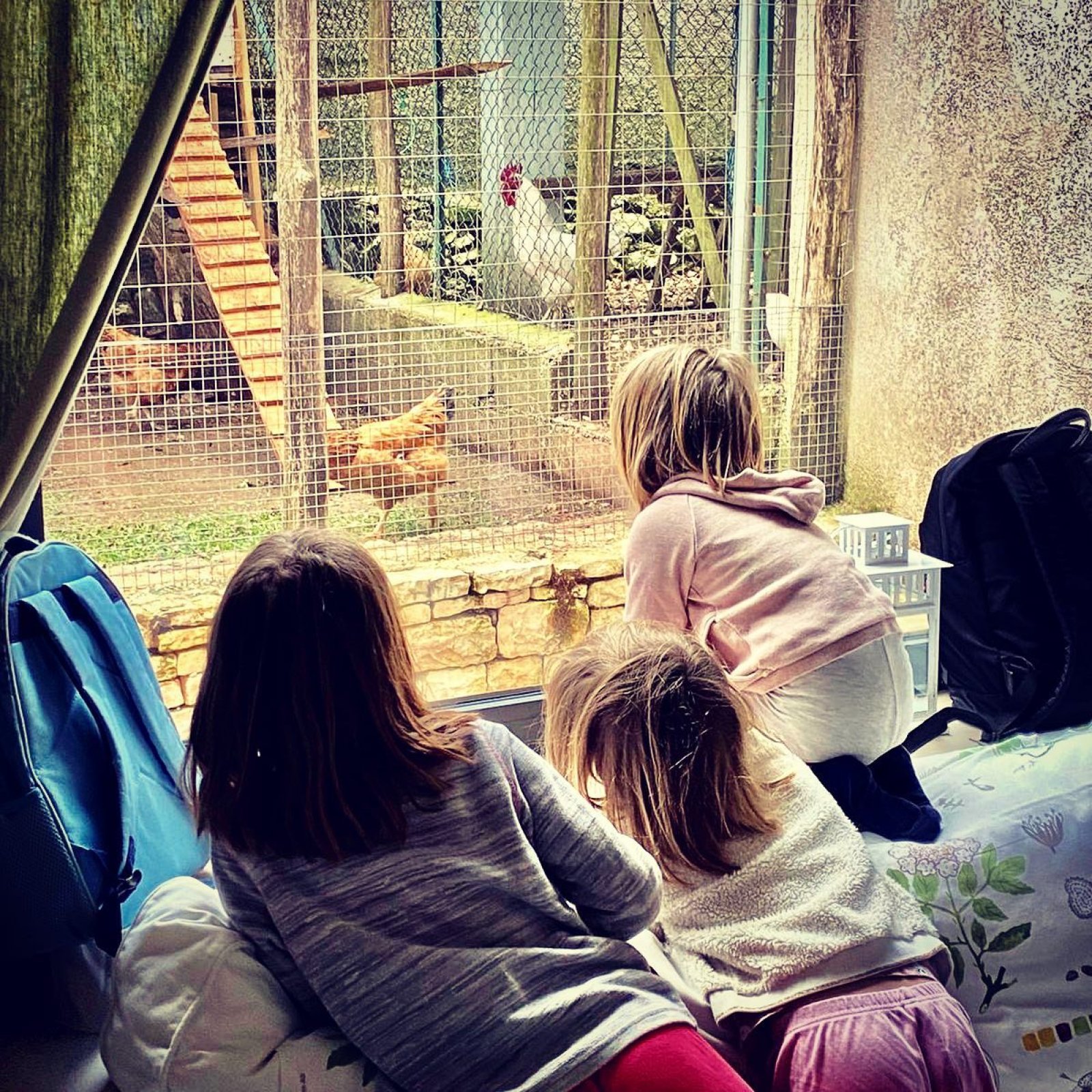 Autentično iskustvo stare istarske farme