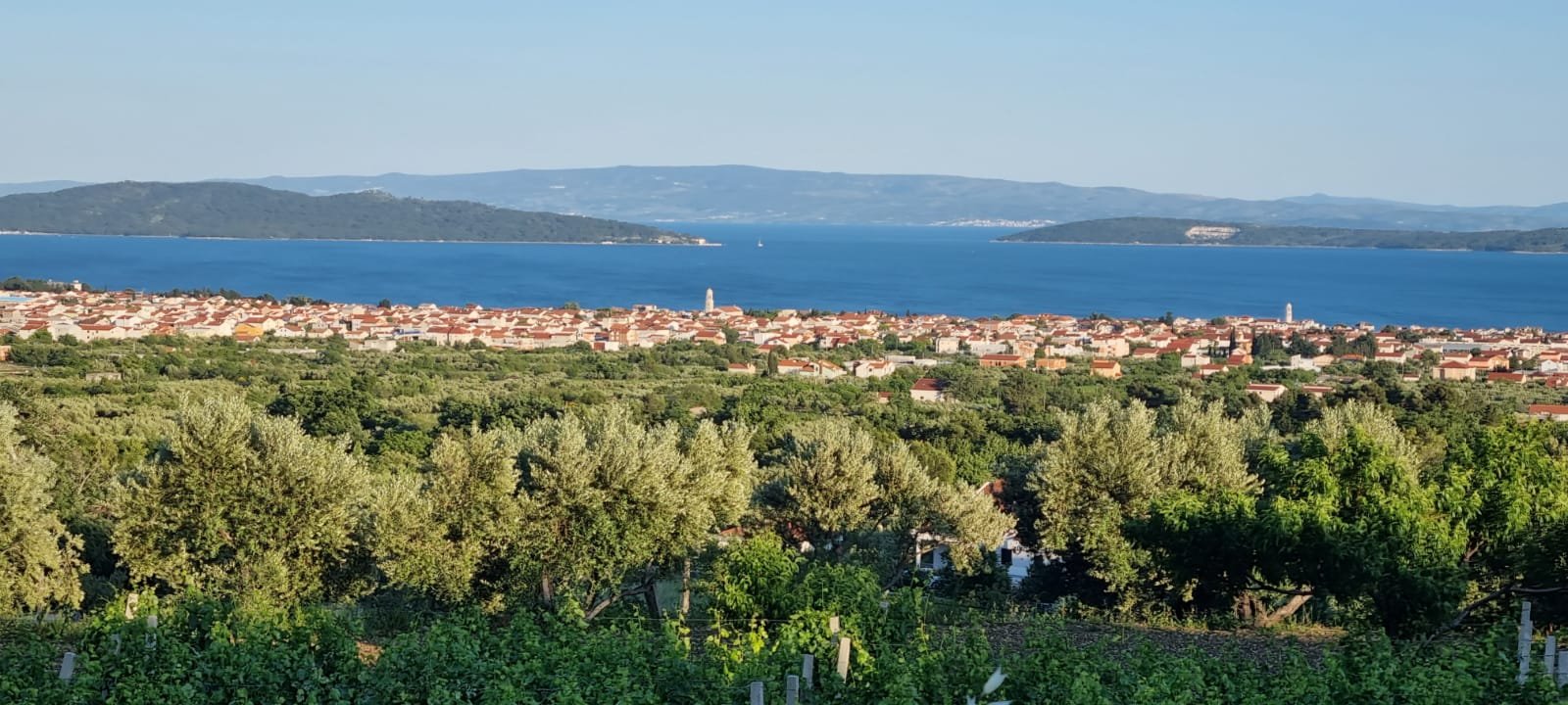 OPG IVAN KUZMANIĆ- Kušaonica  kaštelanskih  vina
