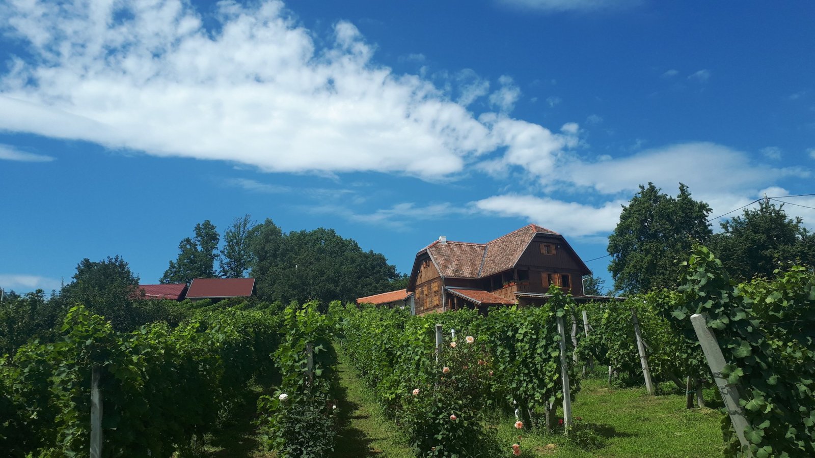 OPG Herak - Vina s dušom Pokuplja