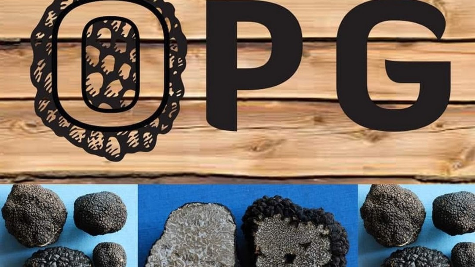 Tartufarenje po Turopolju - OPG Kolić