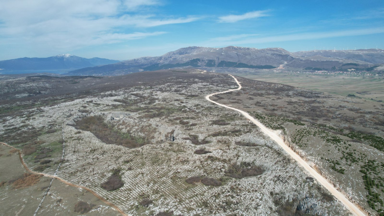 Prašuma u kršu (urušne vrtače Općine Tomislavgrad)