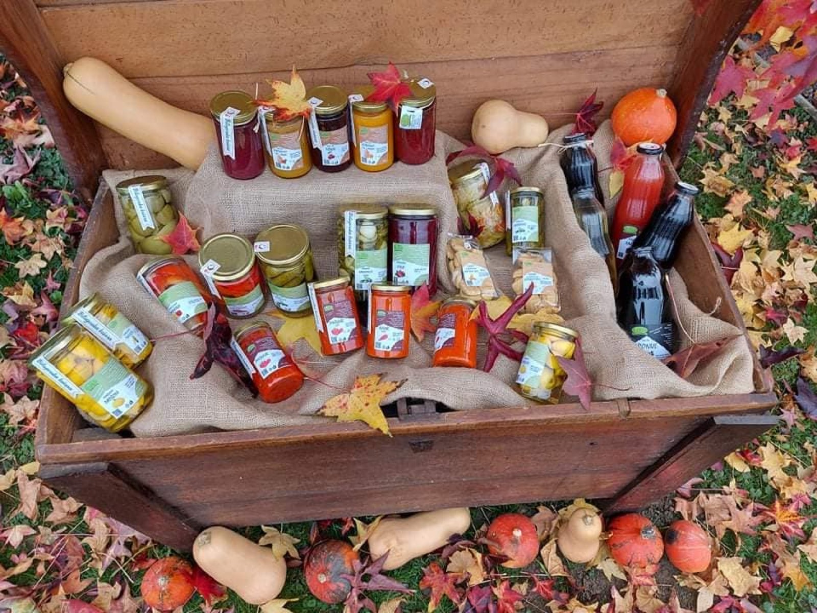 OPG BAČAK - KUŠAONICA BAČAK